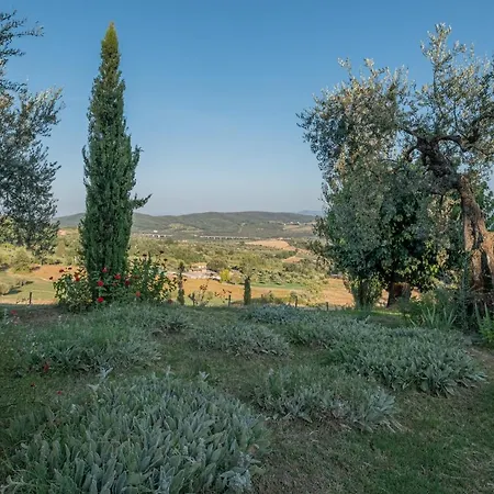 Wonderful In Umbria Amelia