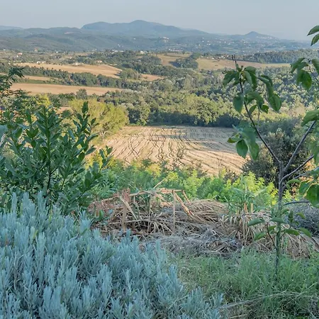 Villa Wonderful In Umbria *